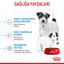 Royal Canin Mini Starter Mother&Babydog 1 Kg Yavru Kuru Köpek Maması