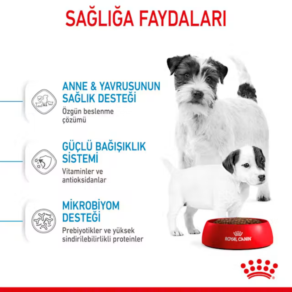 Royal Canin Mini Starter Mother&Babydog 1 Kg Yavru Kuru Köpek Maması