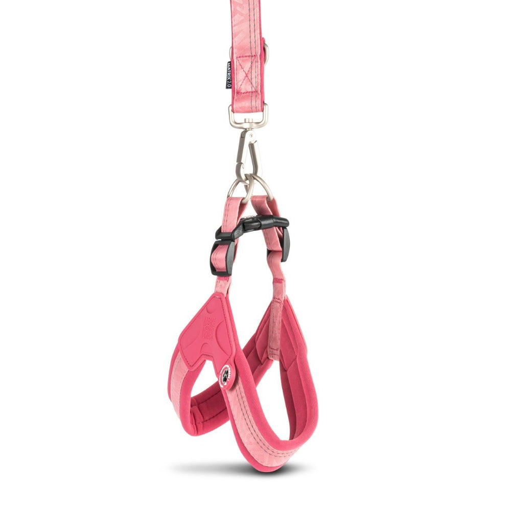 Matrix 2.0 Akıllı Künyeli Q-Fit Köpek Göğüs Tasması - Rose (S)