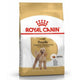 Royal Canin Poodle Adult 3 Kg Yetişkin Kuru Köpek Maması
