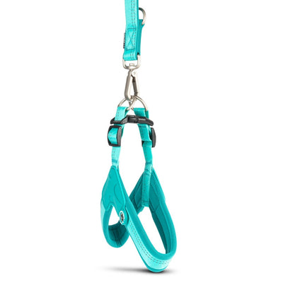 Matrix 2.0 Akıllı Künyeli Q-Fit Köpek Göğüs Tasması - Turquoise (S)