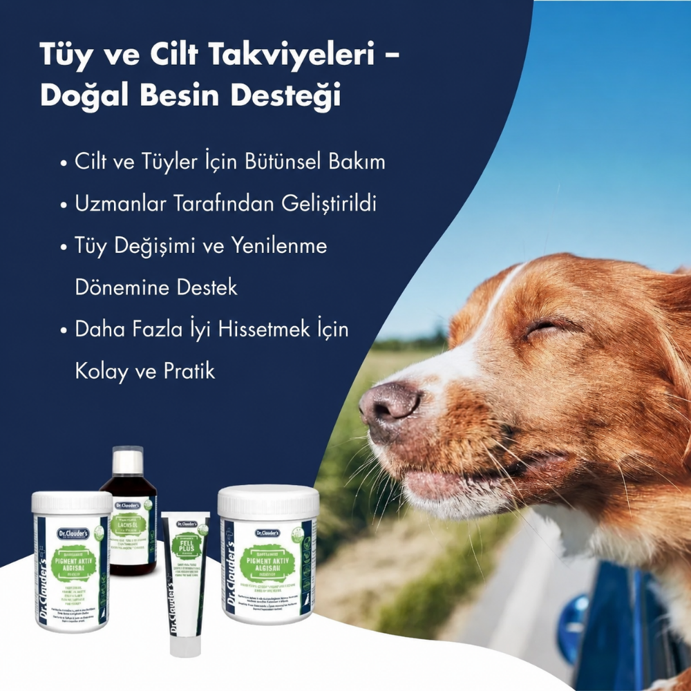 Dr.Clauder's Fell Plus Tüy ve Deri Destekleyici Macun 100gr