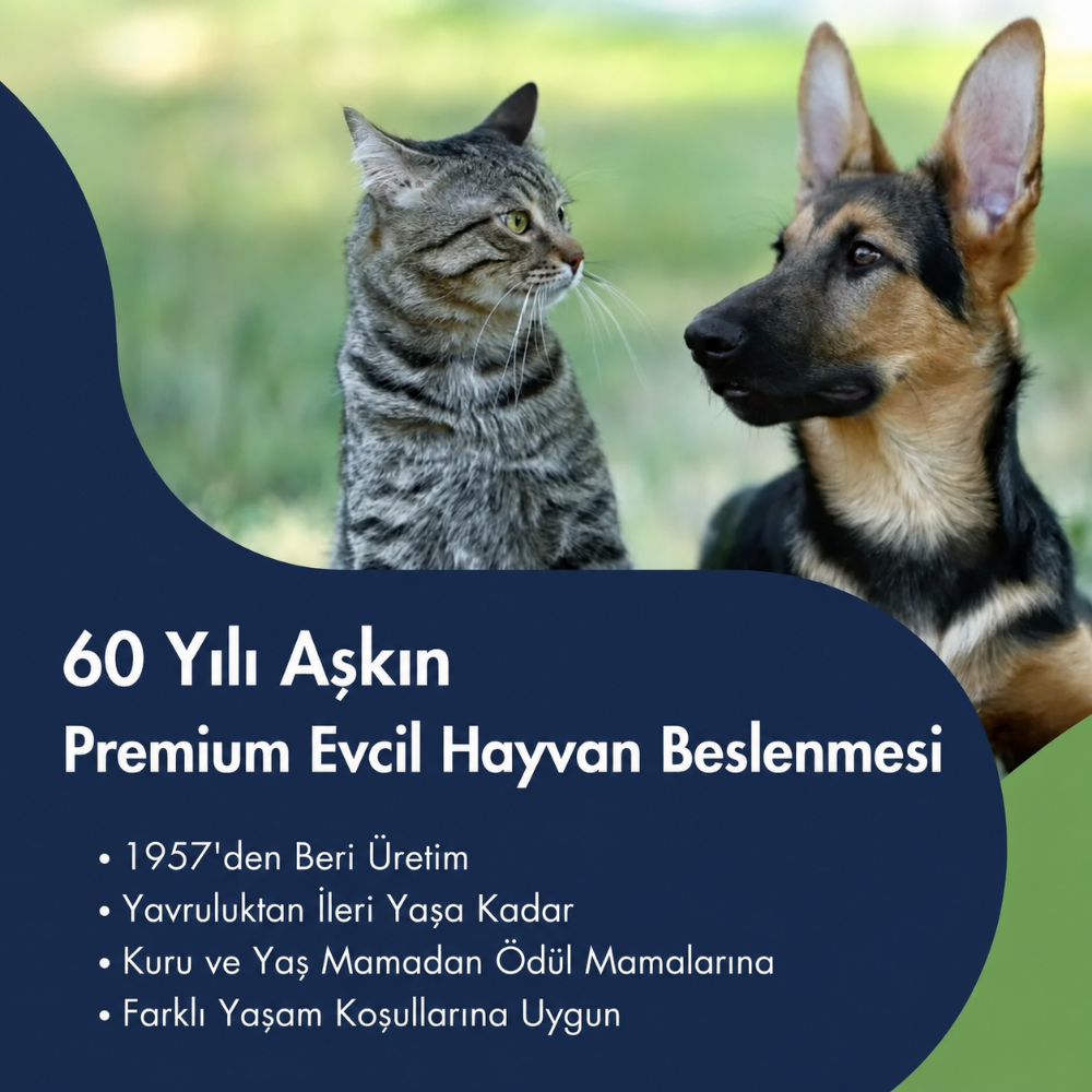 Dr.Clauder's Fell Plus Tüy ve Deri Destekleyici Macun 100gr