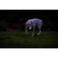Chuckit! Max Glow Air Fetch Gece Parlayan 2'li Köpek Oyun Topu (Küçük Boy)
