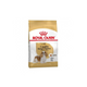 Royal Canin Cavalier King Charles 3 Kg Yetişkin Kuru Köpek Maması