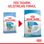 Royal Canin Mini Starter Mother&Babydog 1 Kg Yavru Kuru Köpek Maması