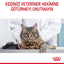 Royal Canin Gravy Hair&Skin Kedi Yaş Maması 85gr