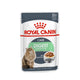 Royal Canin Digest Sensitive Hassas Kediler İçin Yaş Mama 85gr