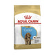 Royal Canin Cocker Puppy 3 Kg Yavru Kuru Köpek Maması