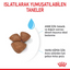 Royal Canin Mini Starter Mother&Babydog 1 Kg Yavru Kuru Köpek Maması