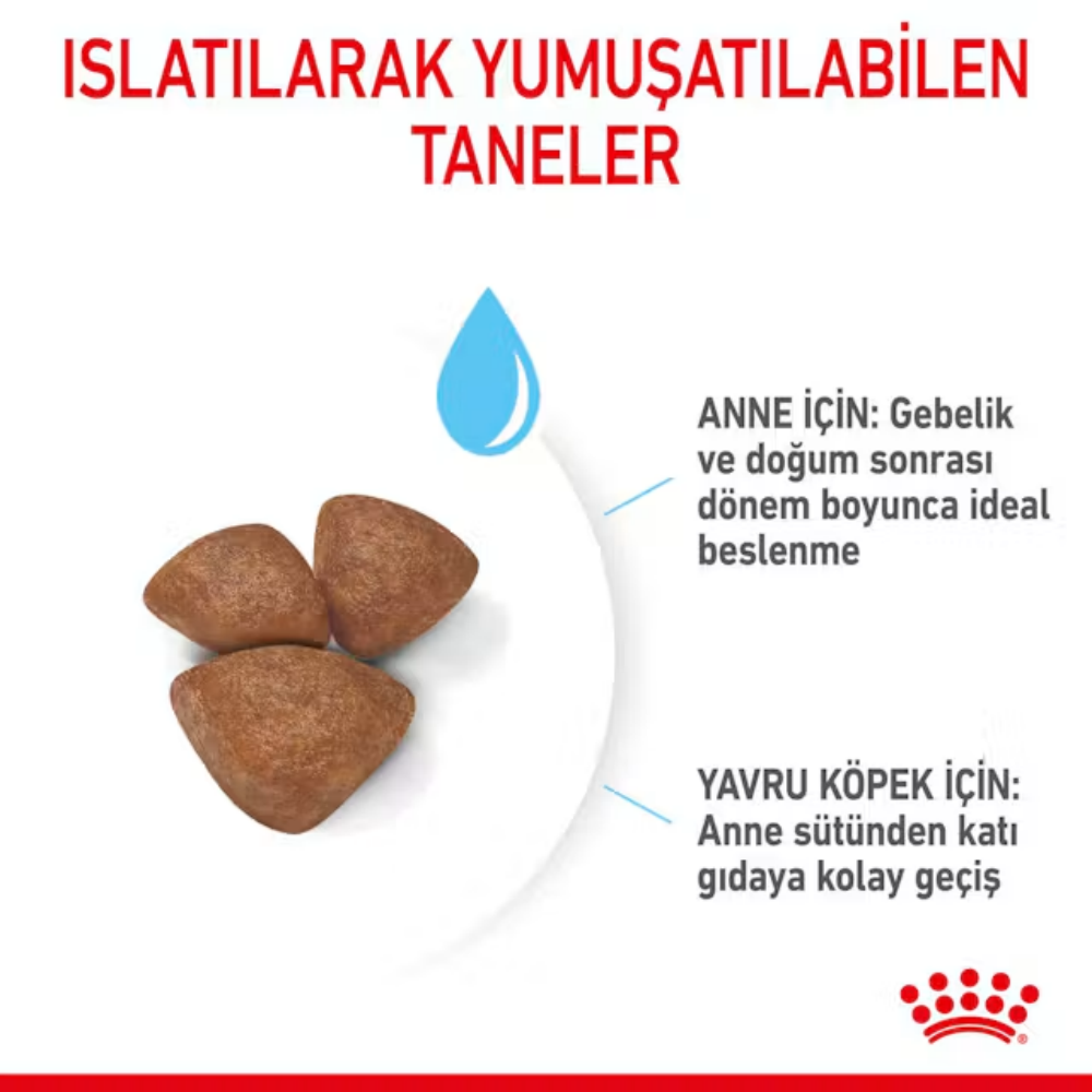 Royal Canin Mini Starter Mother&Babydog 1 Kg Yavru Kuru Köpek Maması