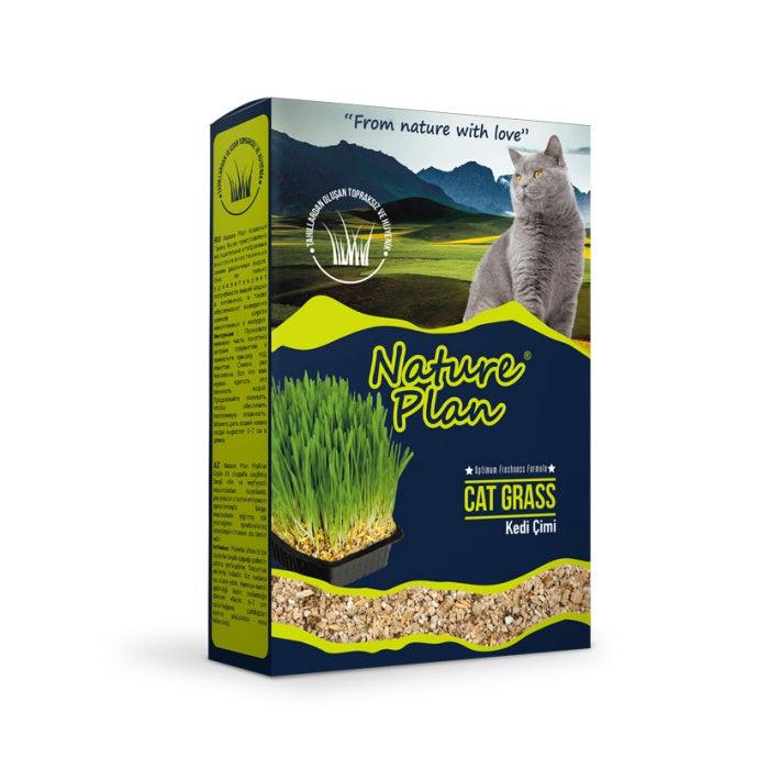 NaturePlan Kedi Çimi