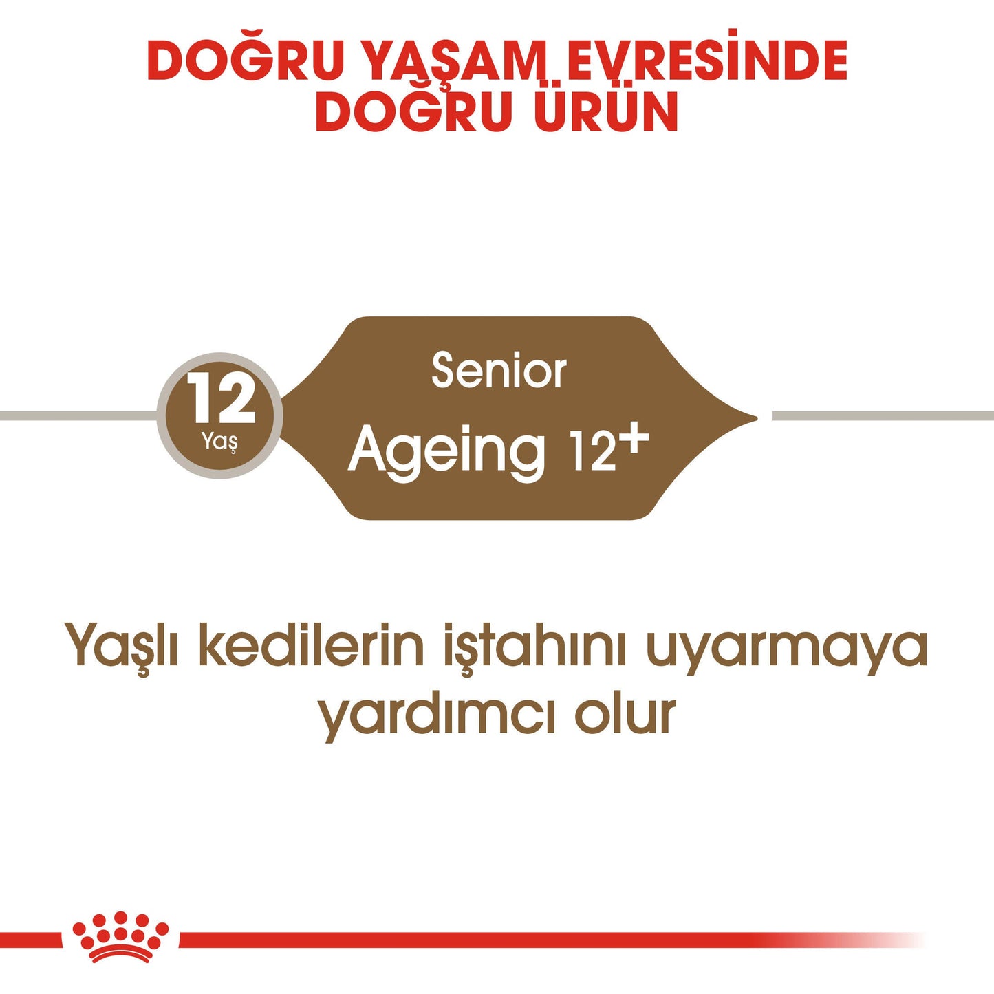 Royal Canin Ageing +12 2 Kg Yaşlı Kuru Kedi Maması