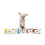 M-PETS Avocado Kedi/Köpekler İçin Temizlik Mendili 80Li
