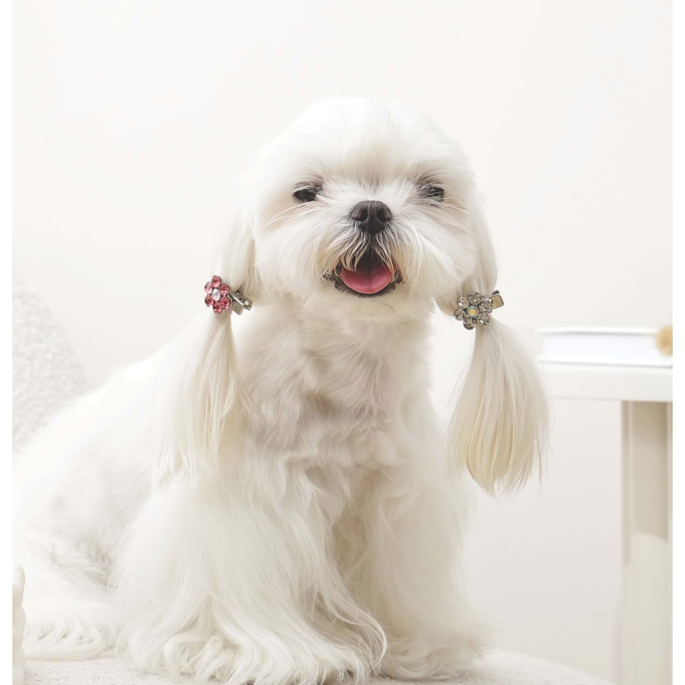M-Pets Glam Köpekler İçin Aksesuar Toka Pink/White