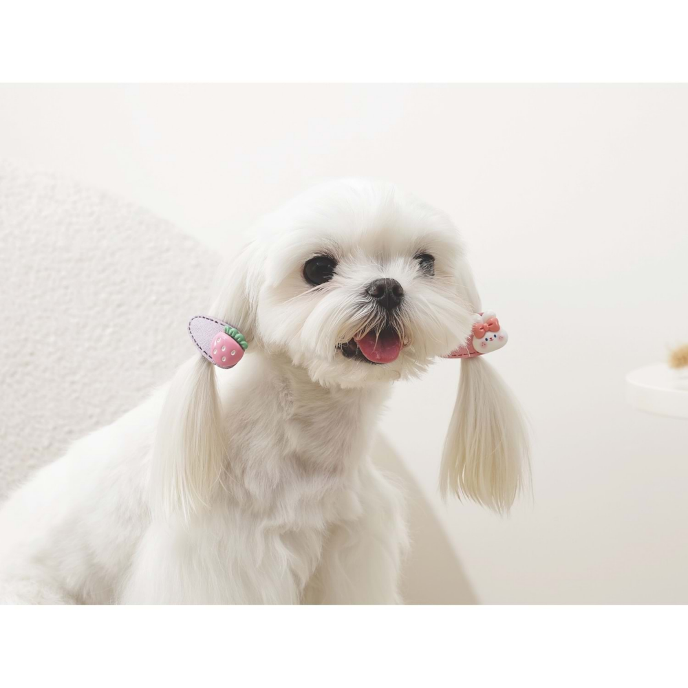 M-Pets Glam Köpekler İçin Aksesuar Toka Pink