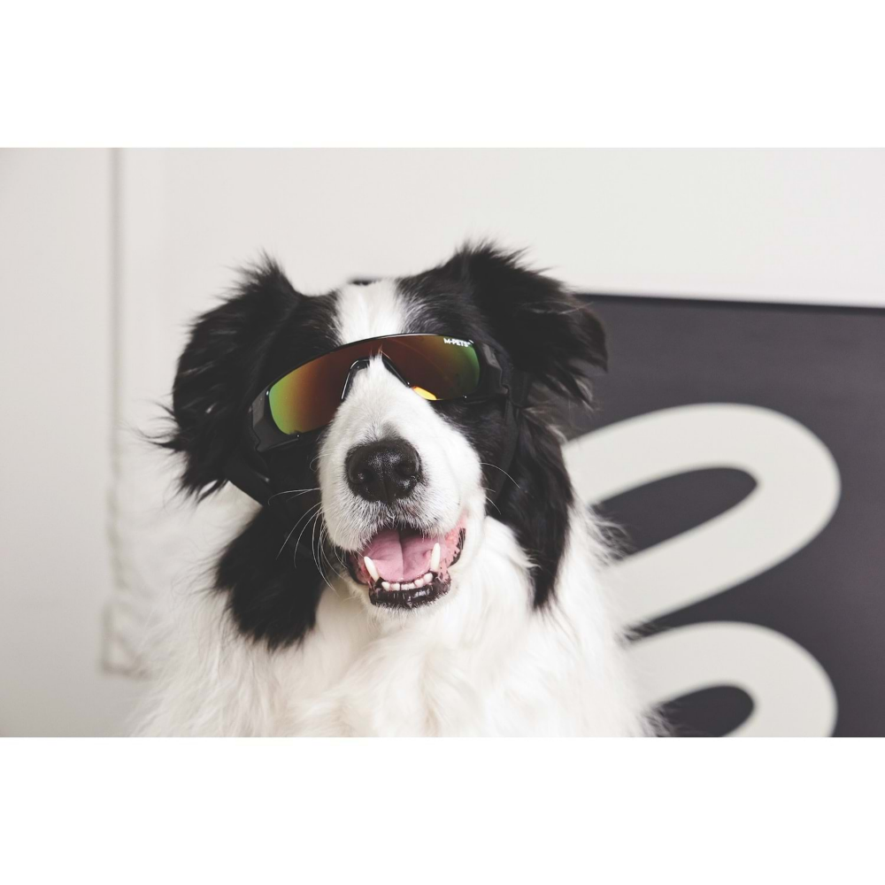 M-PETS Sunny Sunbather Köpekler İçin Gözlük Black