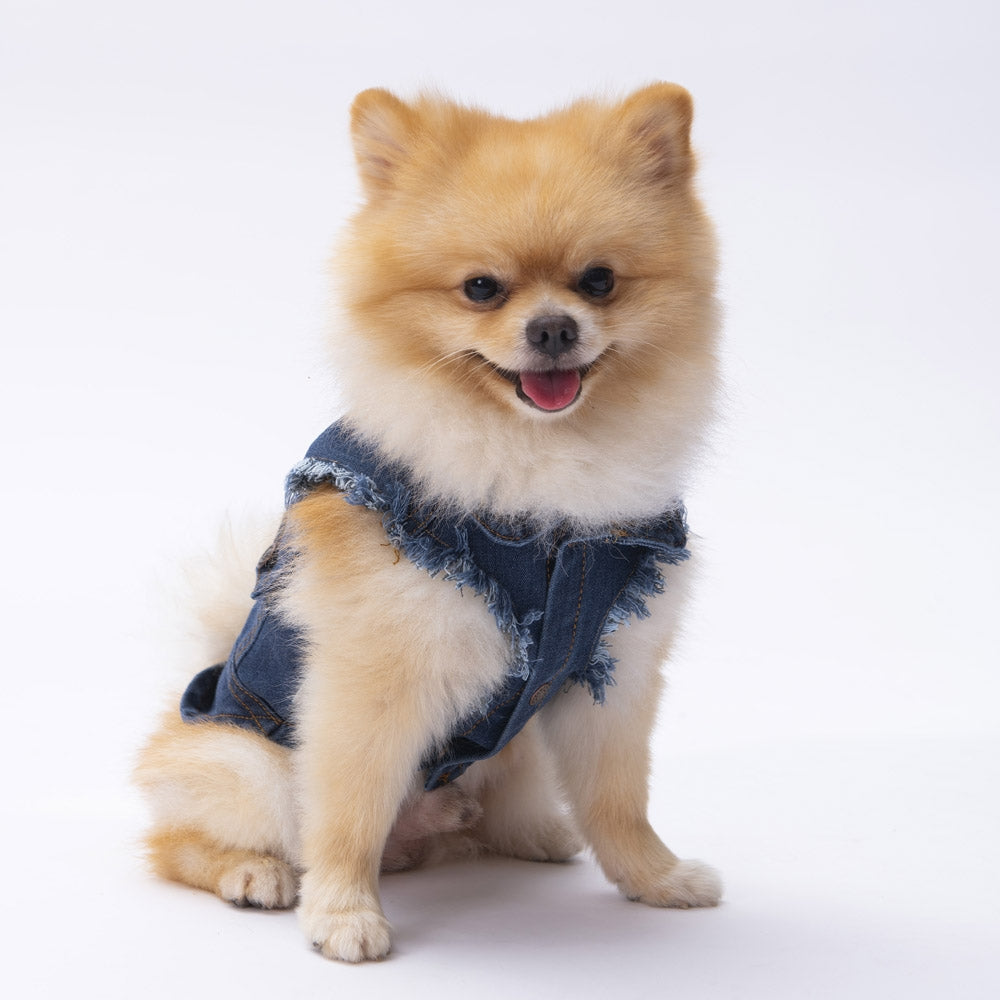 PawStar Denim Vest 2XL