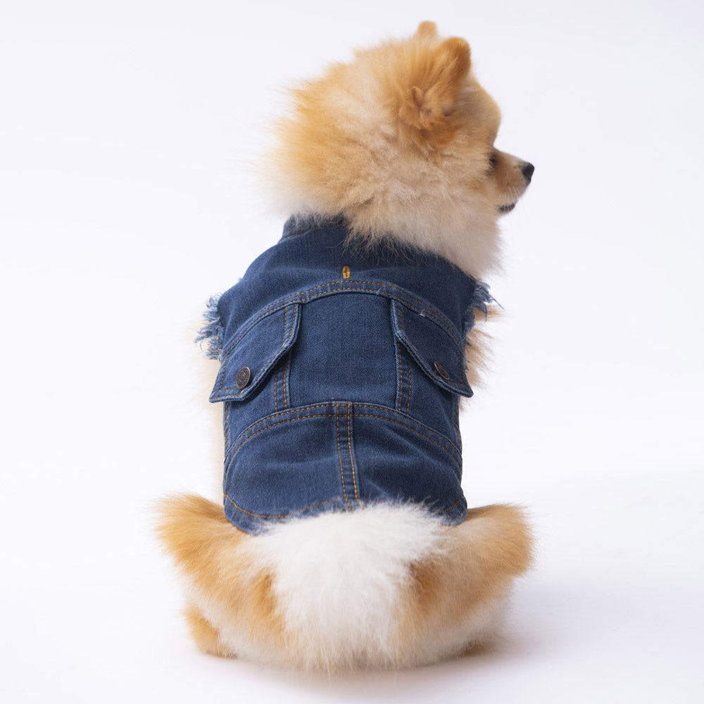PawStar Denim Vest L