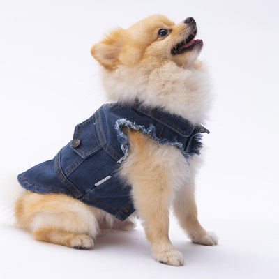 PawStar Denim Vest S