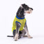 PawStar Super Hero Mesh Tshirt 2XL
