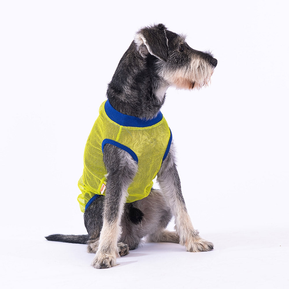 PawStar Super Hero Mesh Tshirt 2XL