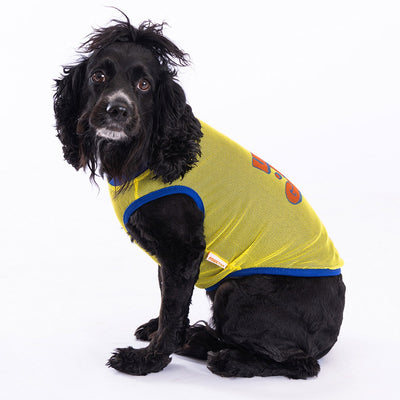 PawStar Life Mesh T-Shirt 2XL
