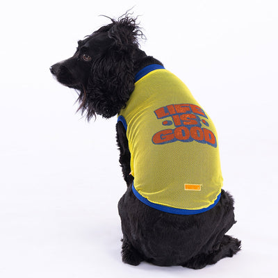 PawStar Life Mesh T-Shirt L