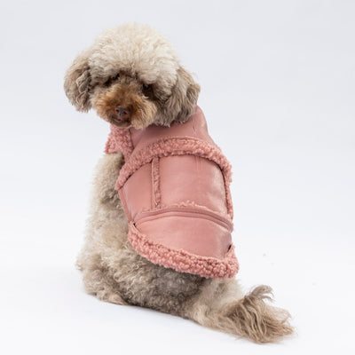 Pawstar Rose Churchill Vest L