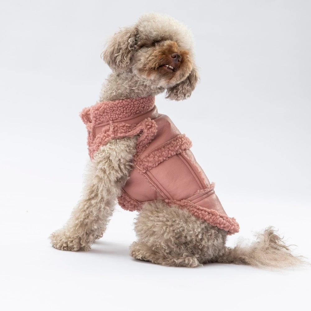 Pawstar Rose Churchill Vest L
