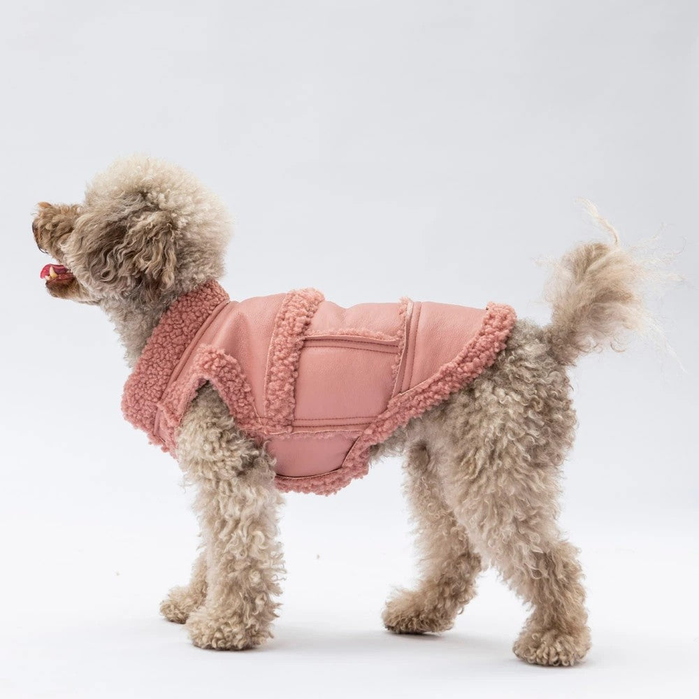 Pawstar Rose Churchill Vest L