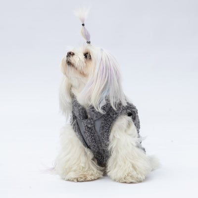 Pawstar Grey Churchill Vest L
