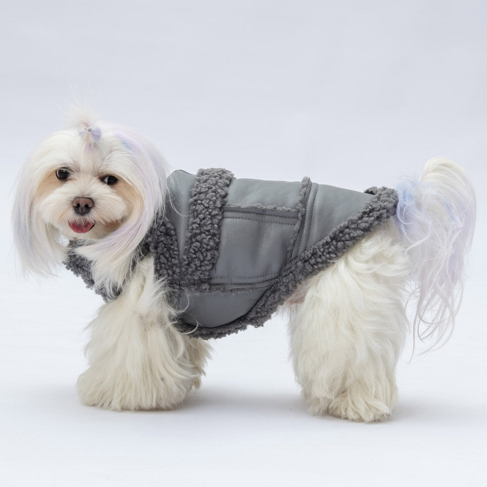 Pawstar Grey Churchill Vest L