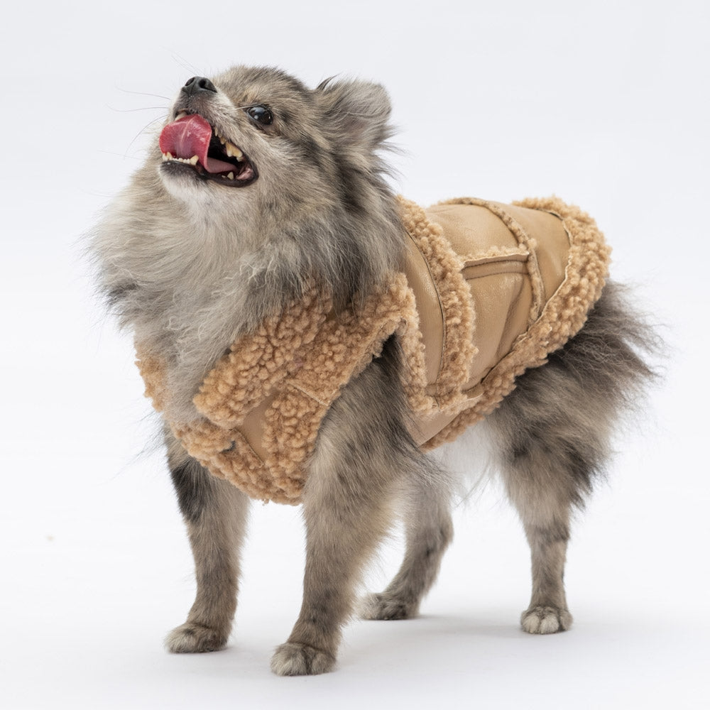 Pawstar Beige Churchill Vest L