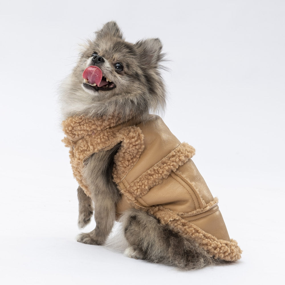 Pawstar Beige Churchill Vest L