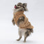 Pawstar Beige Churchill Vest L