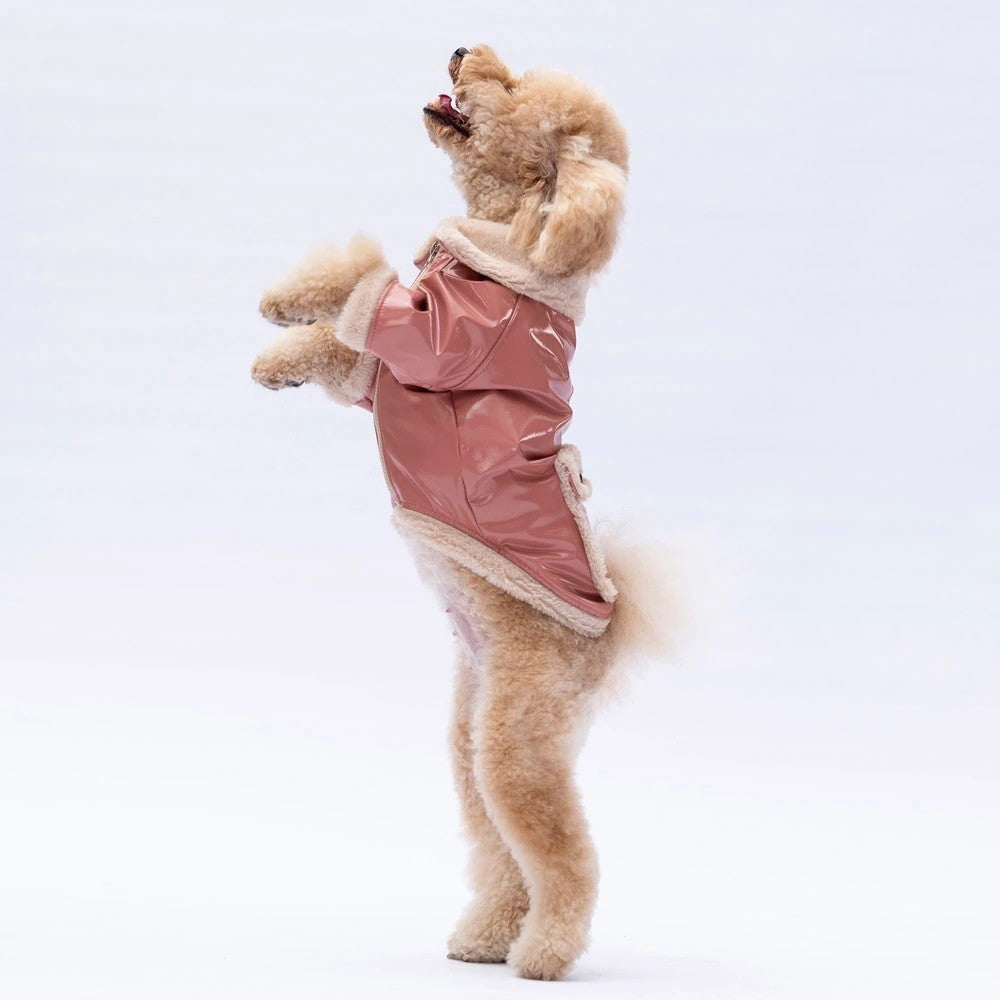 Pawstar Rose Vegas Jacket 2XL