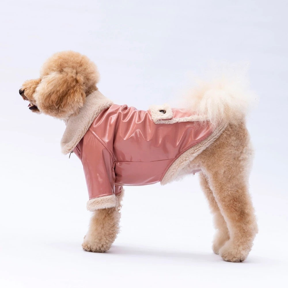 Pawstar Rose Vegas Jacket 2XL