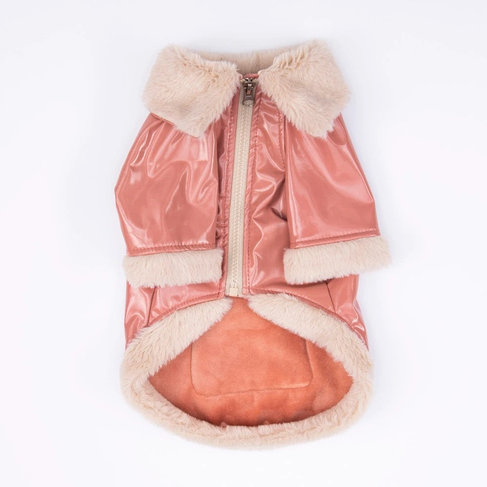 Pawstar Rose Vegas Jacket 2XL