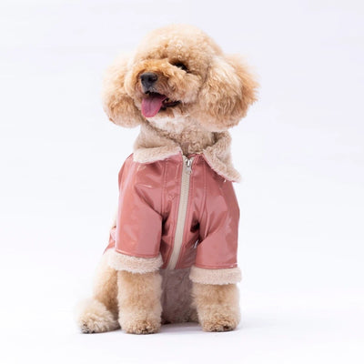 Pawstar Rose Vegas Jacket L