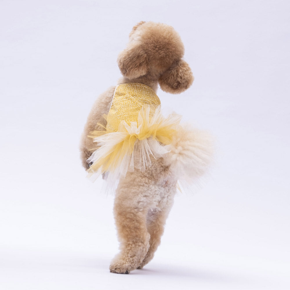 PawStar Yellow Polka-Dot M