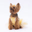 PawStar Yellow Polka-Dot M