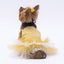PawStar Yellow Polka-Dot S