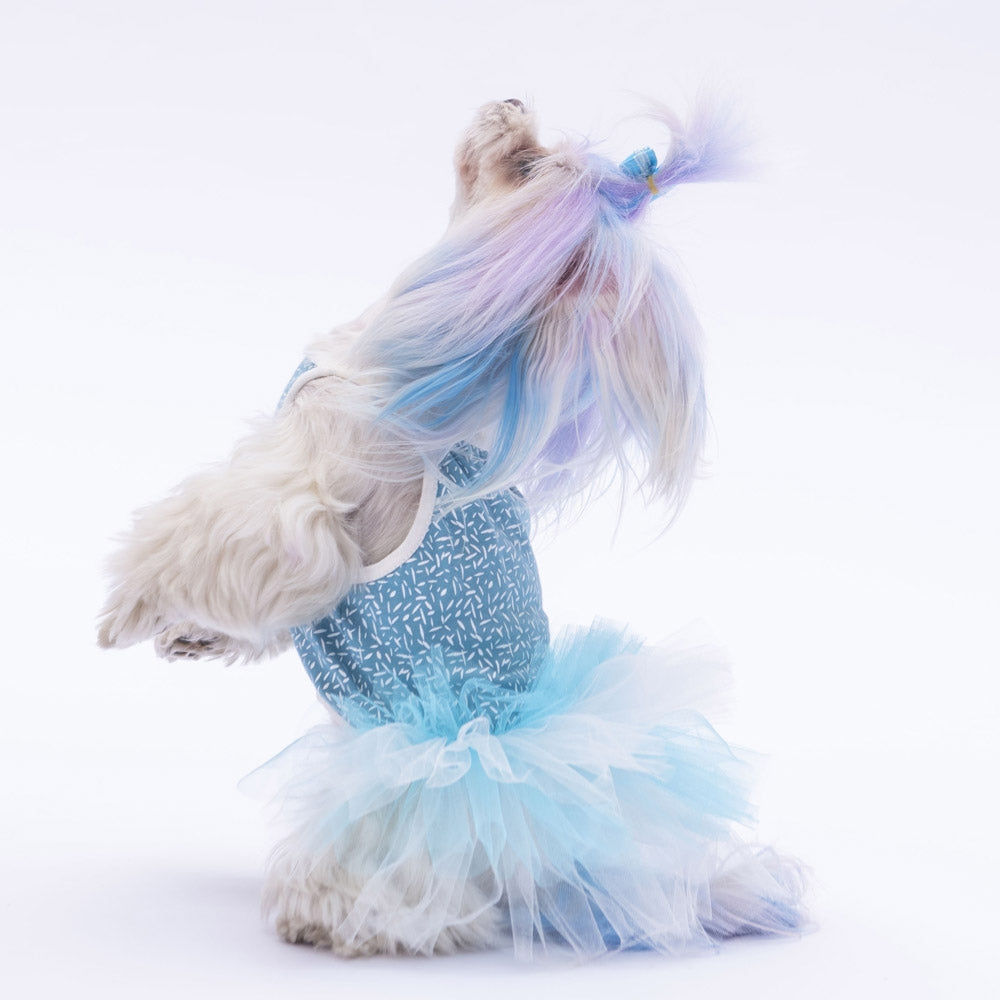 PawStar Blue Polka-Dot L