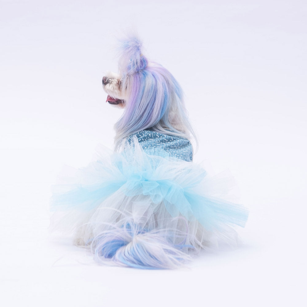 PawStar Blue Polka-Dot S