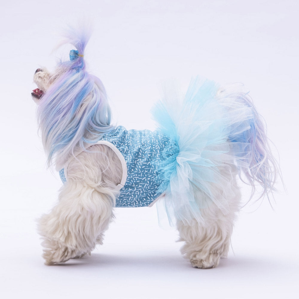 PawStar Blue Polka-Dot S