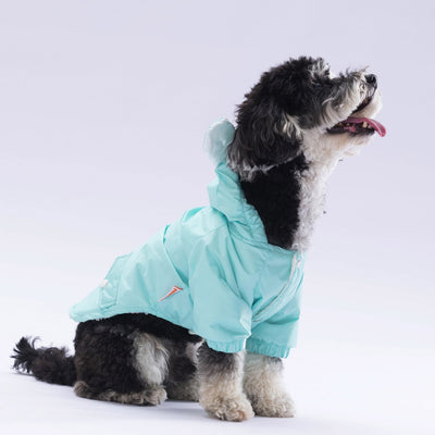 Pawstar Mint Sydney Raincoat 2XL