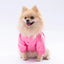 Pawstar Pink Sydney Raincoat 2XL