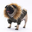 Pawstar Khaki Charles Raincoat 2XL