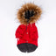 Pawstar Red Charles Raincoat L